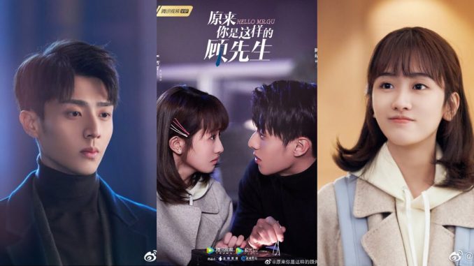 Download Drama China Hello Mr Gu (2021) Subtitle Indonesia