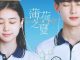 Download Drama China Summer Again Subtitle Indonesia